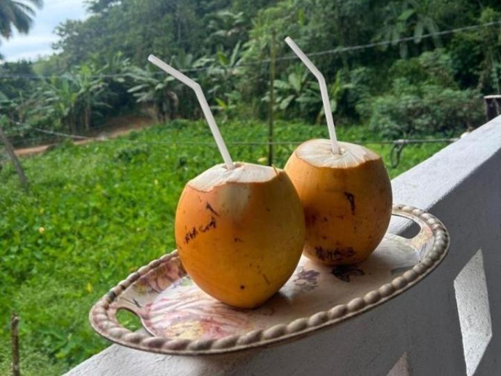 Sandaru Holiday Resort Weligama Exterior photo